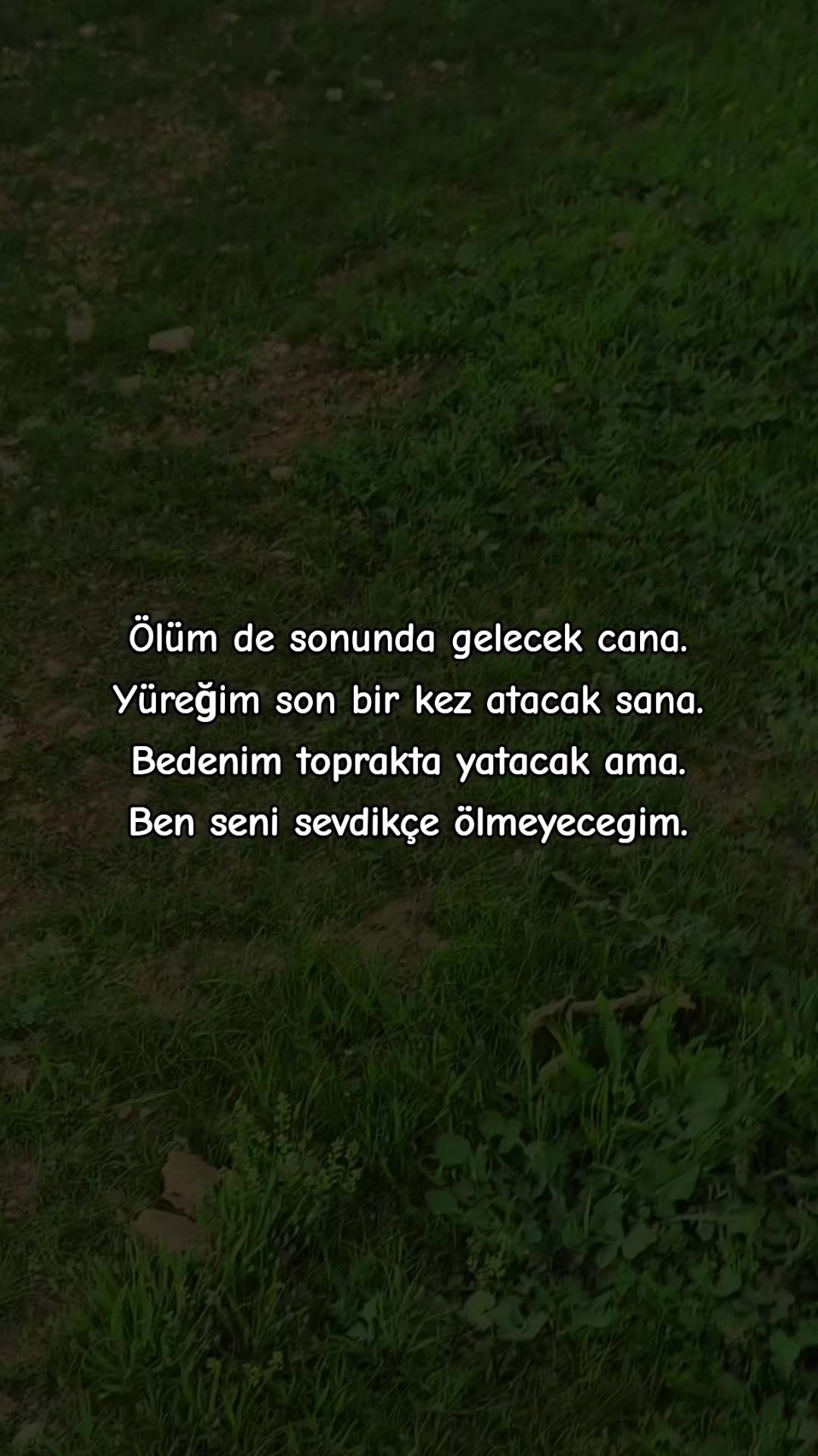 @ミ★ Ne&Ccedil;E🍁 ZOZAN ★彡