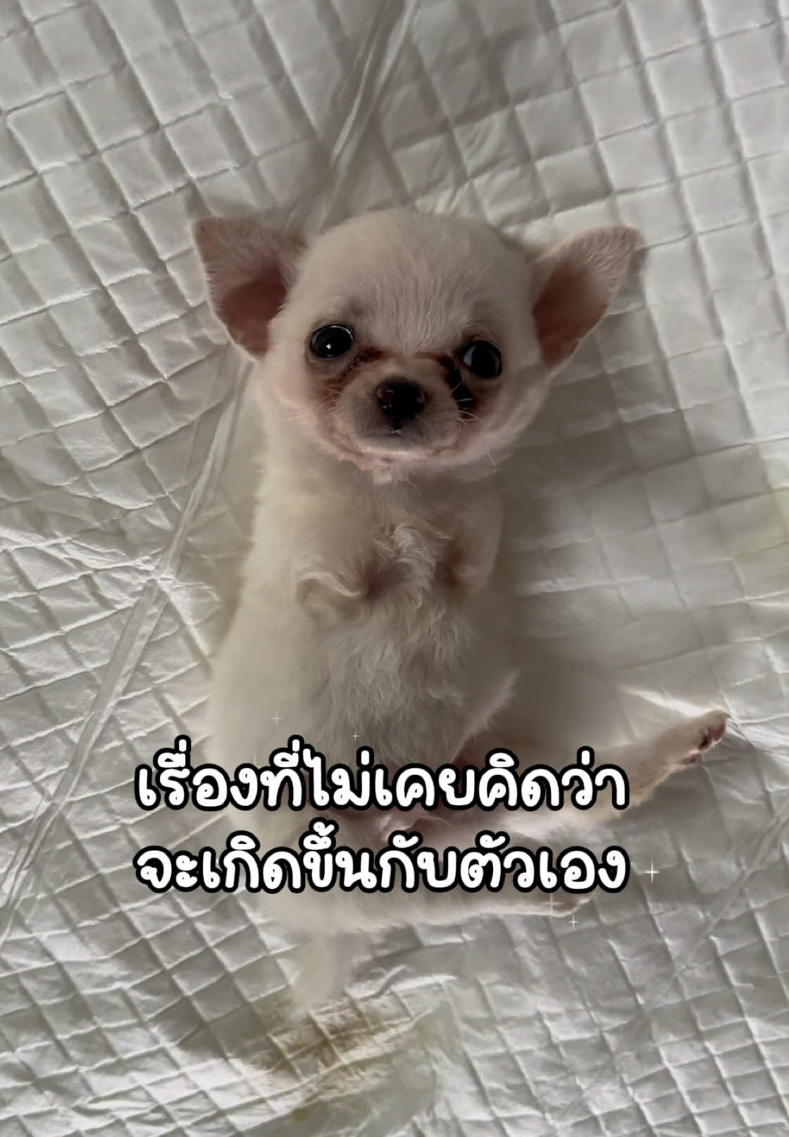 @ผมชื่อเฟิร์บ