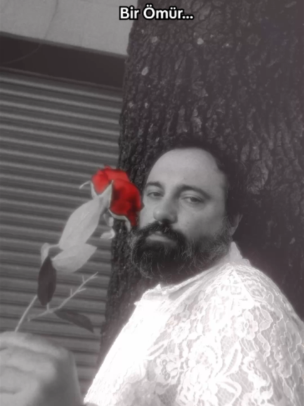 @Saraylı Mefruşat