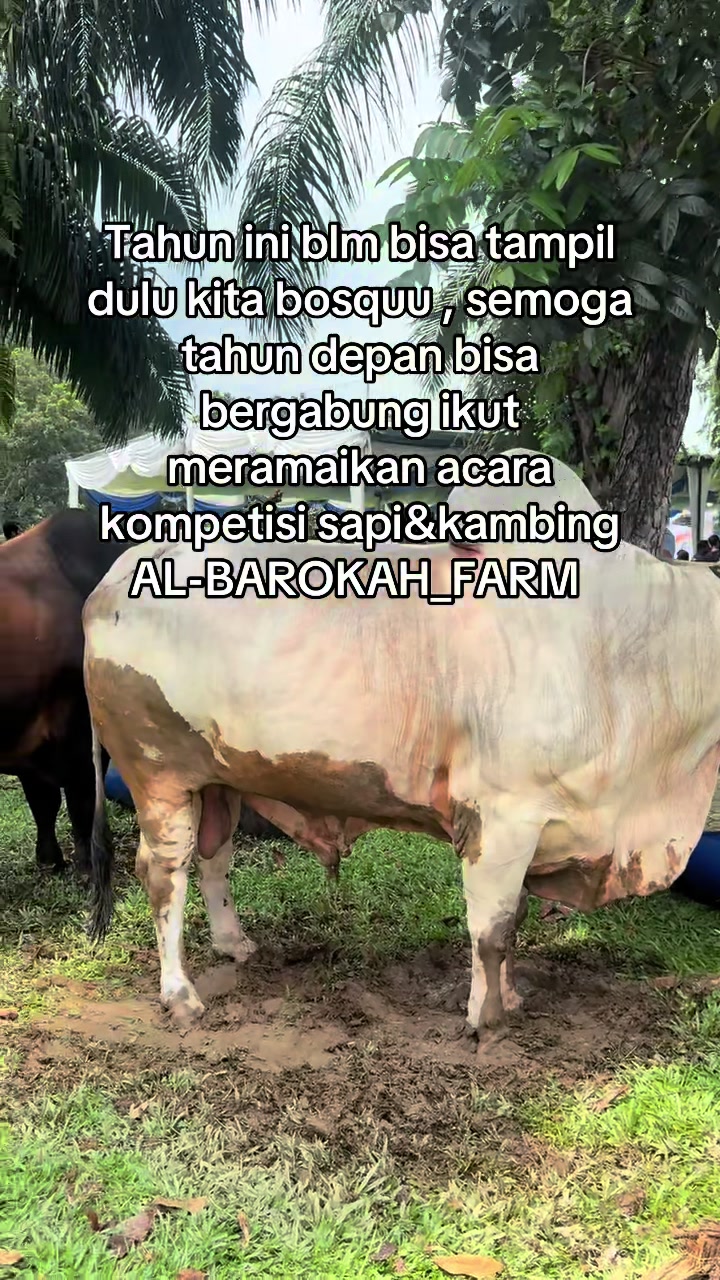 @AL-BAROKAH_FARM