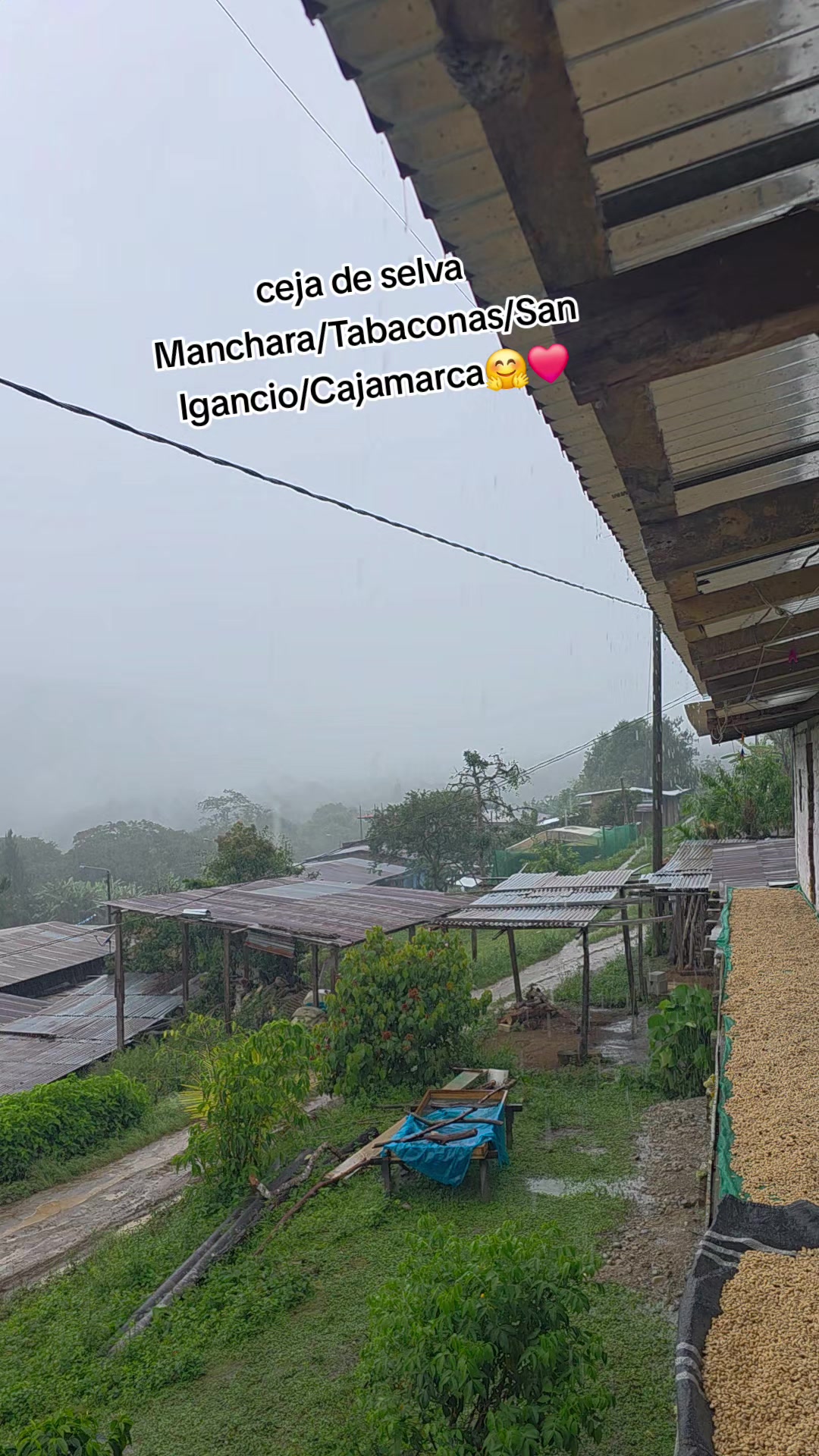 @DRA.CUMBIAMBERA