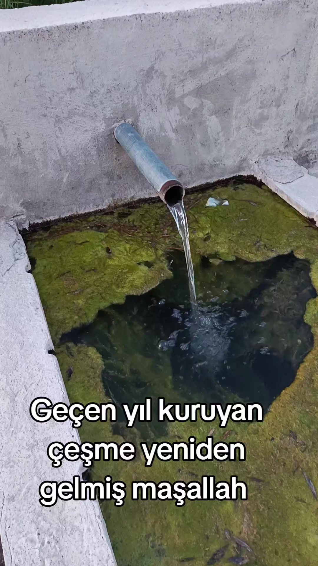 @yılmaz &Ccedil;etinkaya