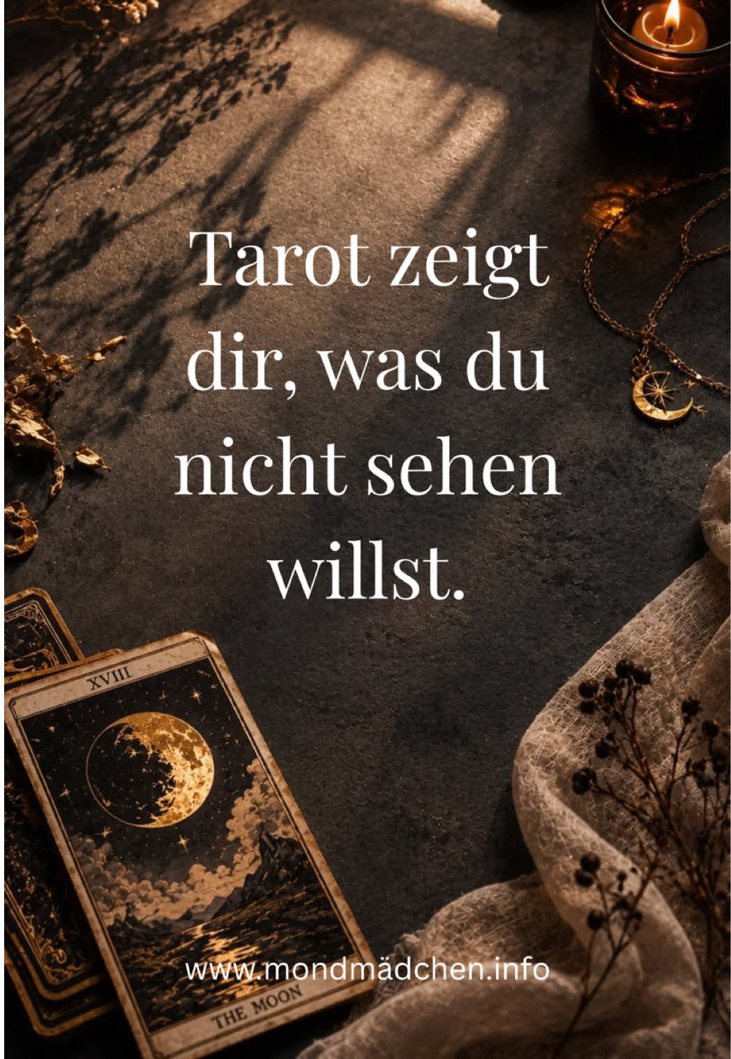 @jennifer.lamprecht
