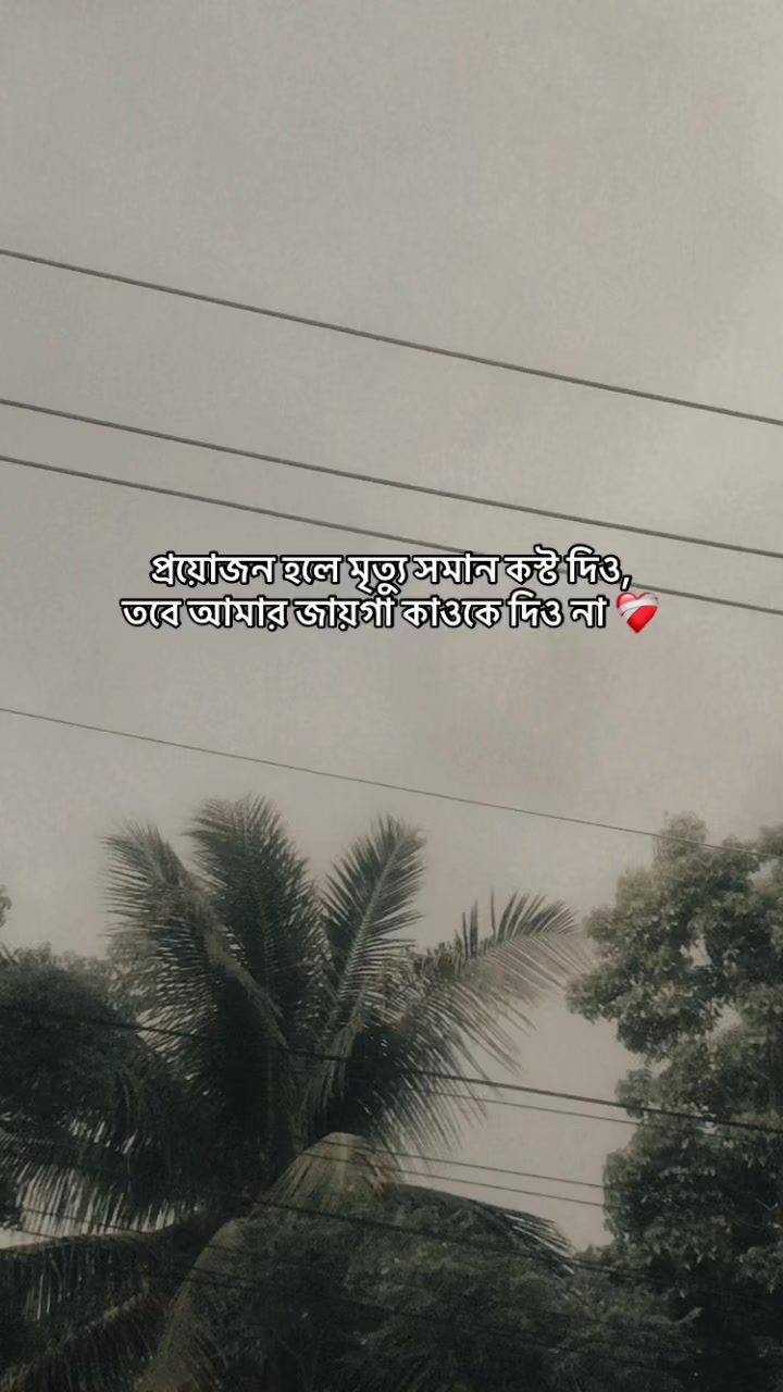 @ᴿᴼᴴᴬN's_ Diary 📓🖋
