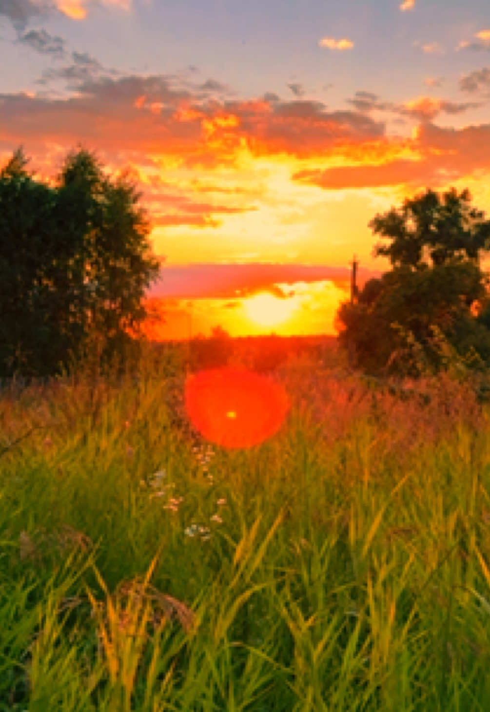 @naturalvibe.0