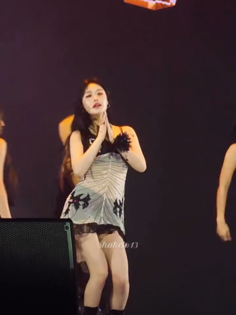 @seotangmari2