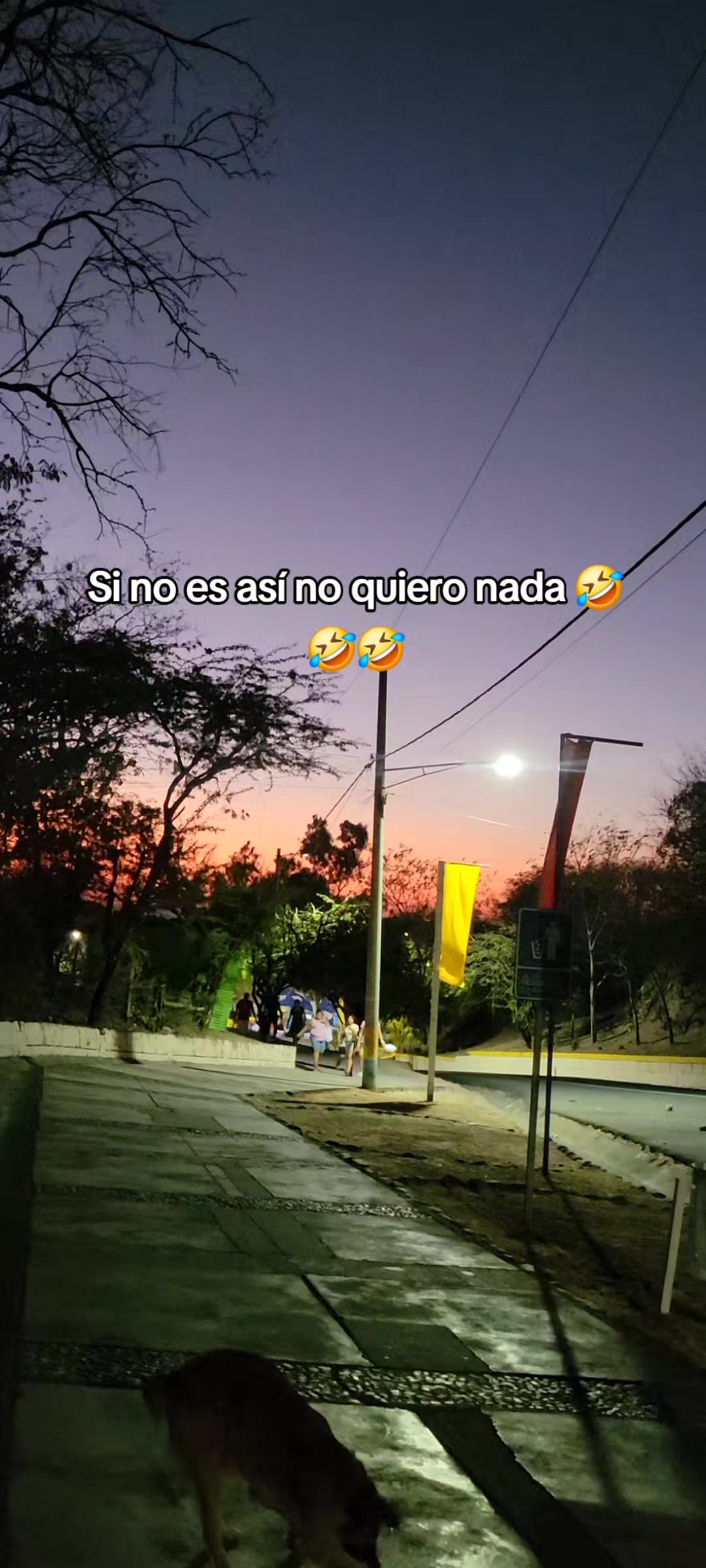 @🪐✨️🌒
