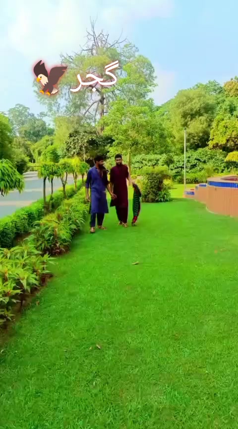 @M Ismaeel Gujjar