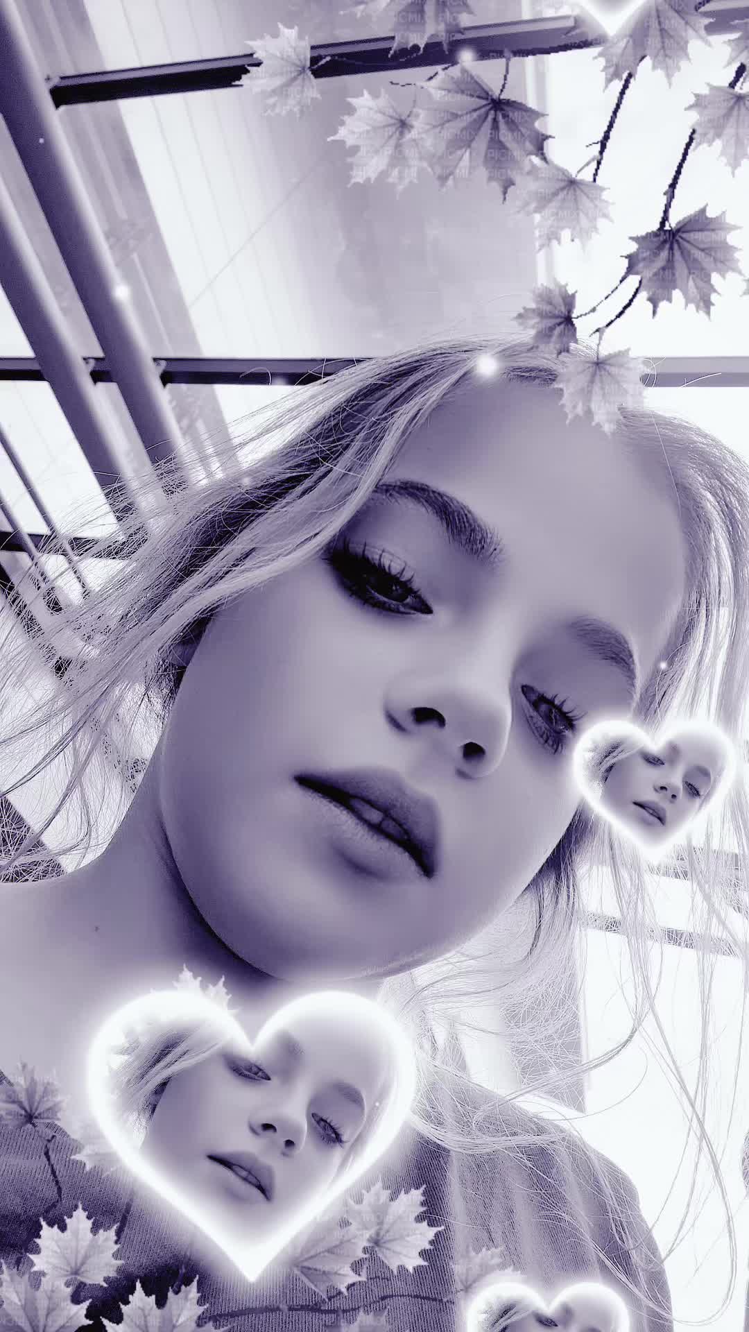 @megane0023