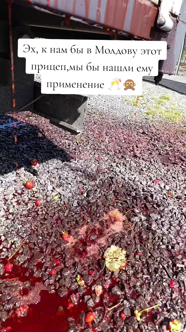@Мелитина Богатая