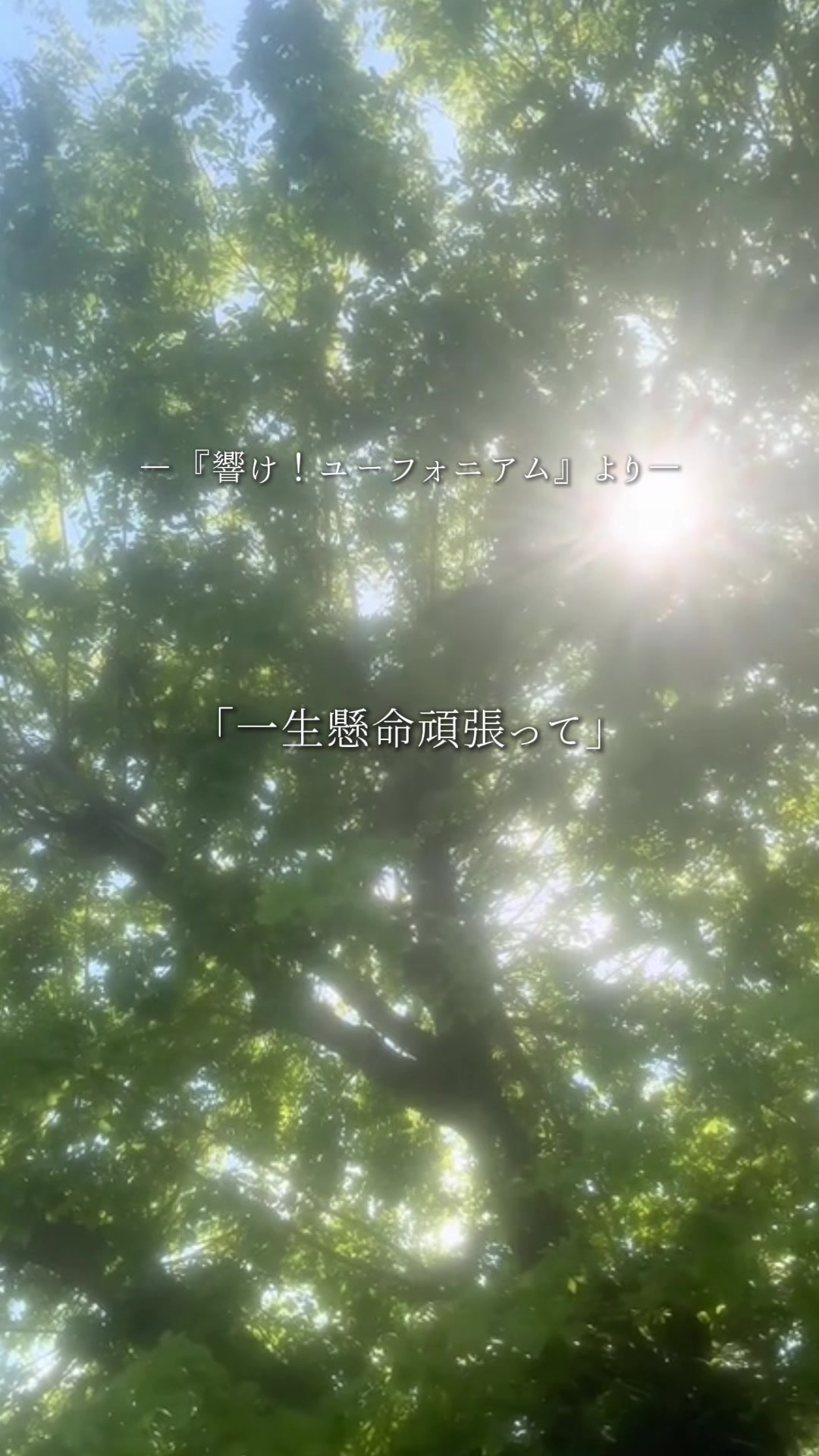 @一ノ瀬 かんな【声優志望】
