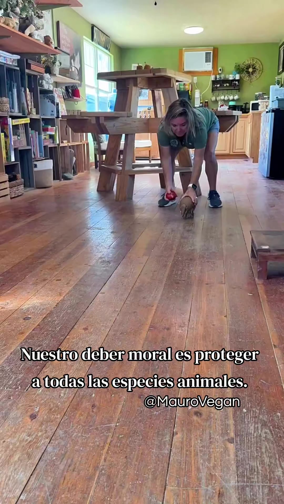 @Mauro Vegan🐑