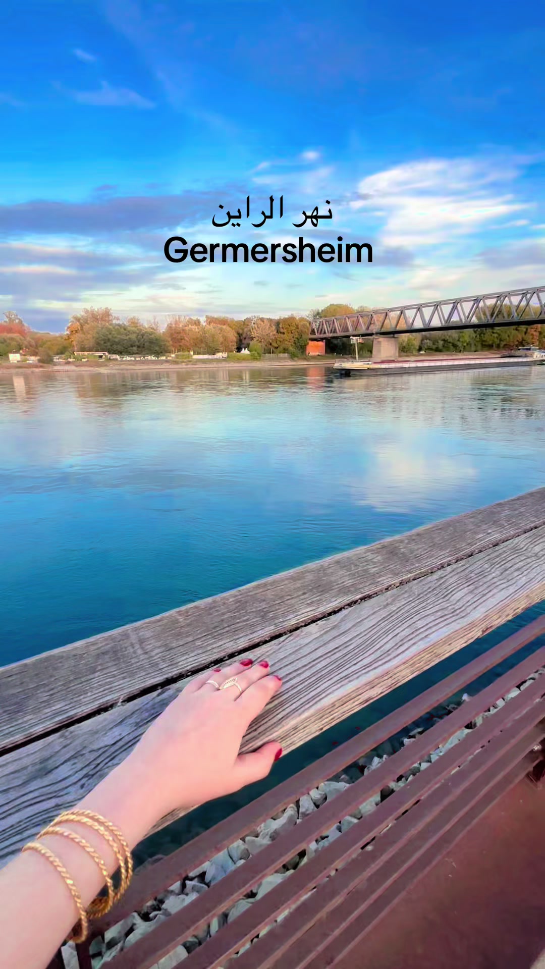 @🇩🇪🦋RORO🦋🇹🇯