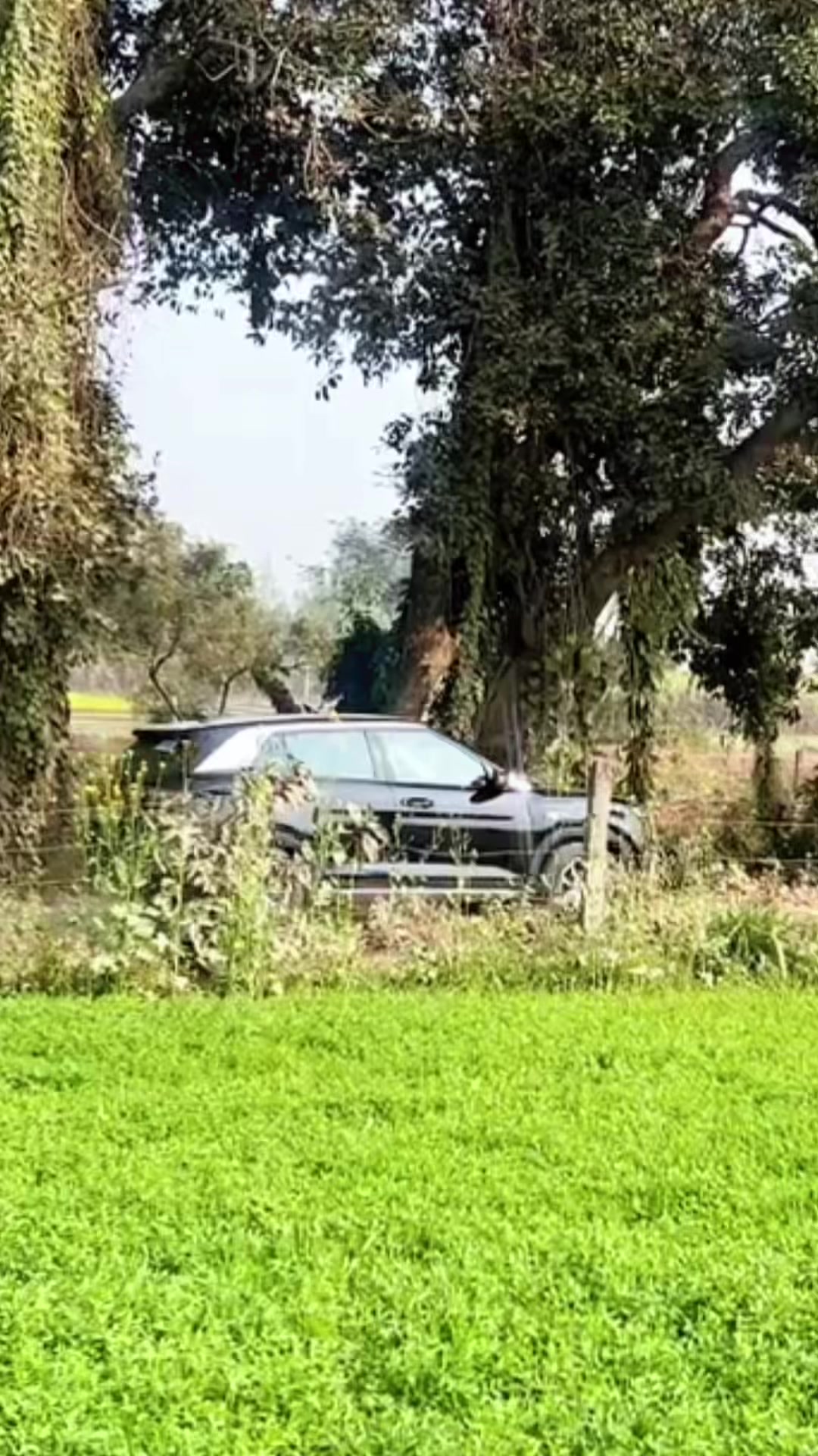 @ਬਾਲੂਸ਼ਾਹੀ