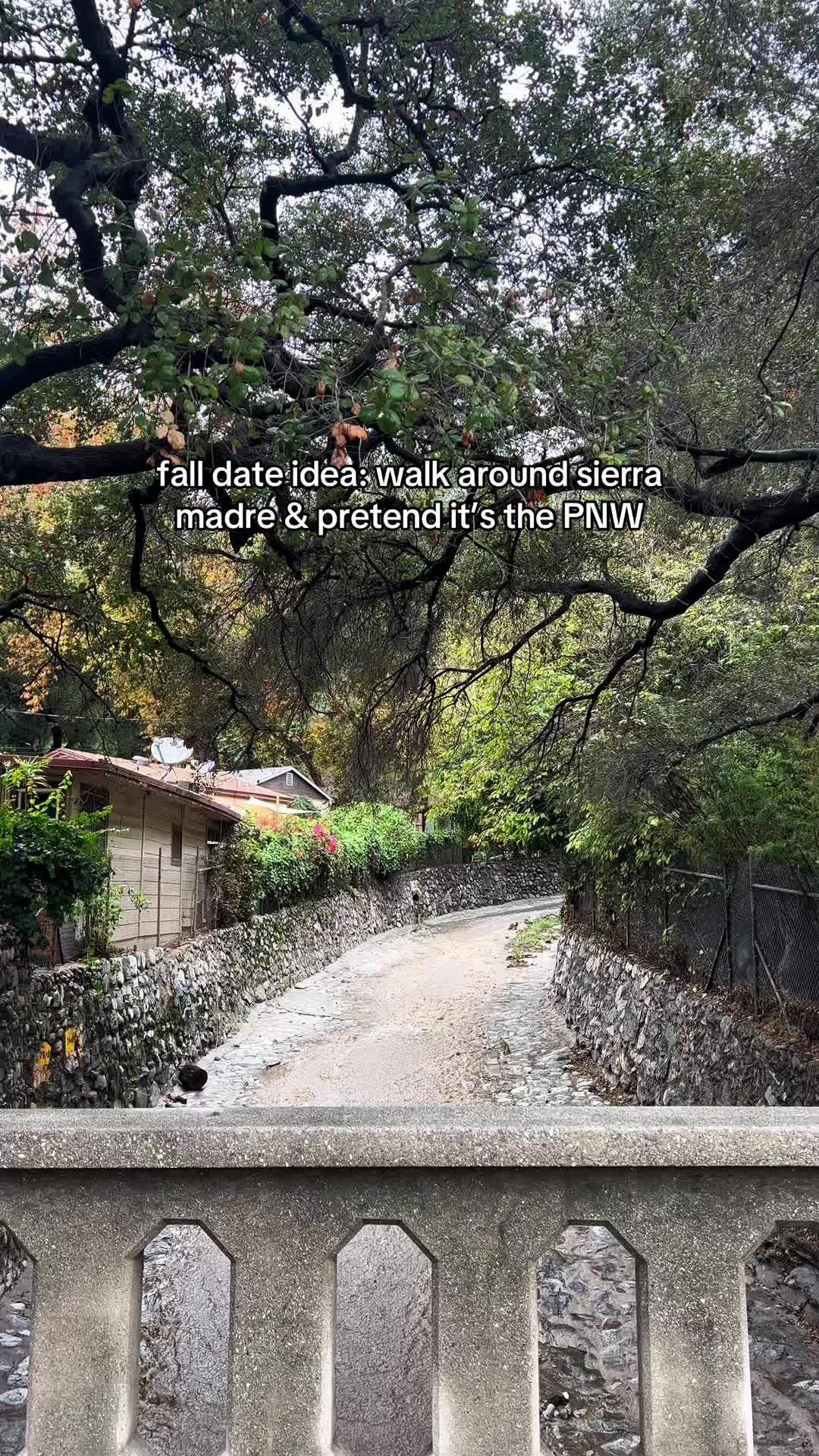 @Alma | LA & California Recs