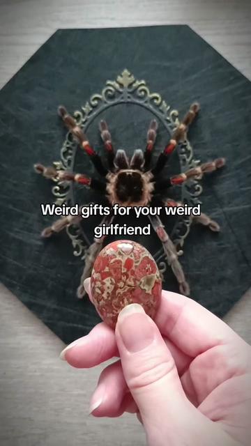 @TarantulaBox
