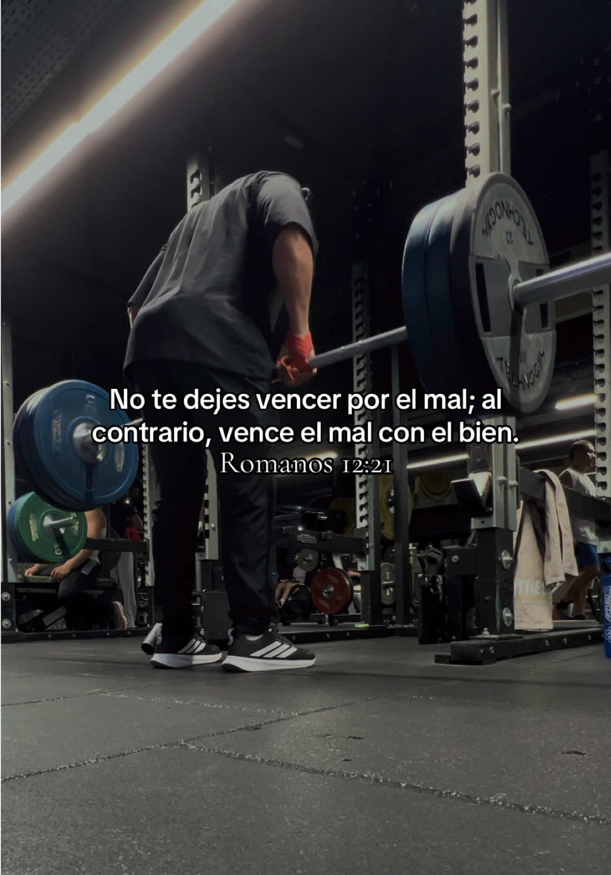 @andres.cardona_0