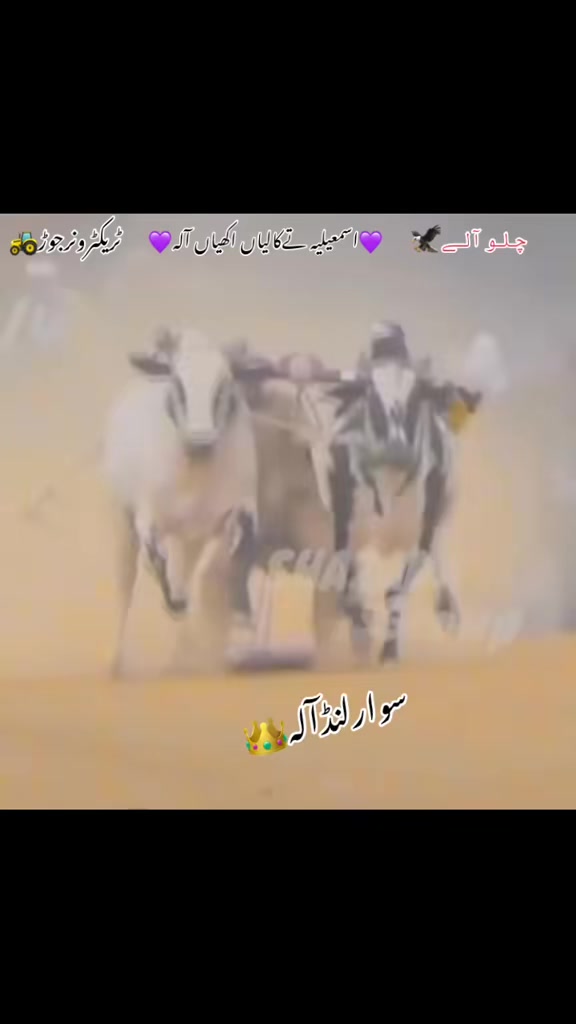 @آصف۔گجر۔چلومیرگالہ🍁