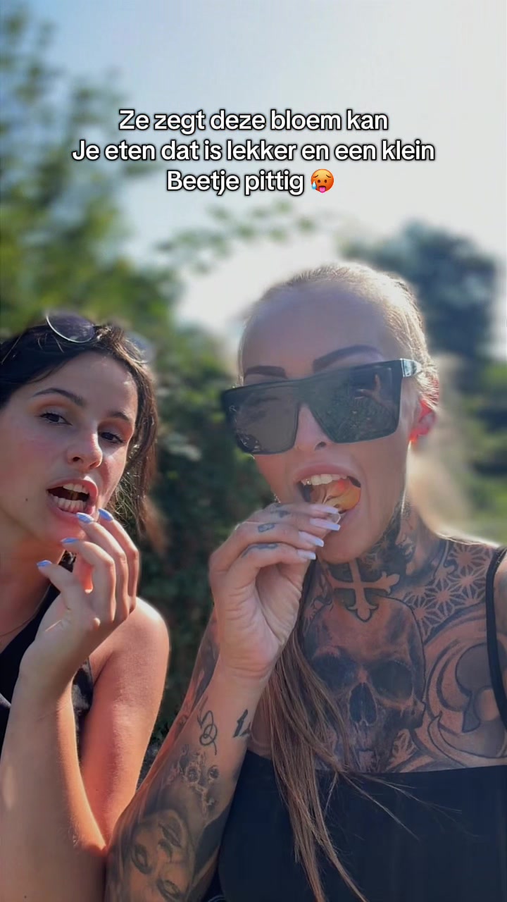 @Inked_kizs 🖤