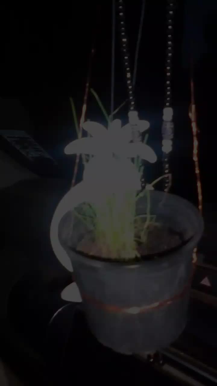 @Uthinkithot_Capcut organic