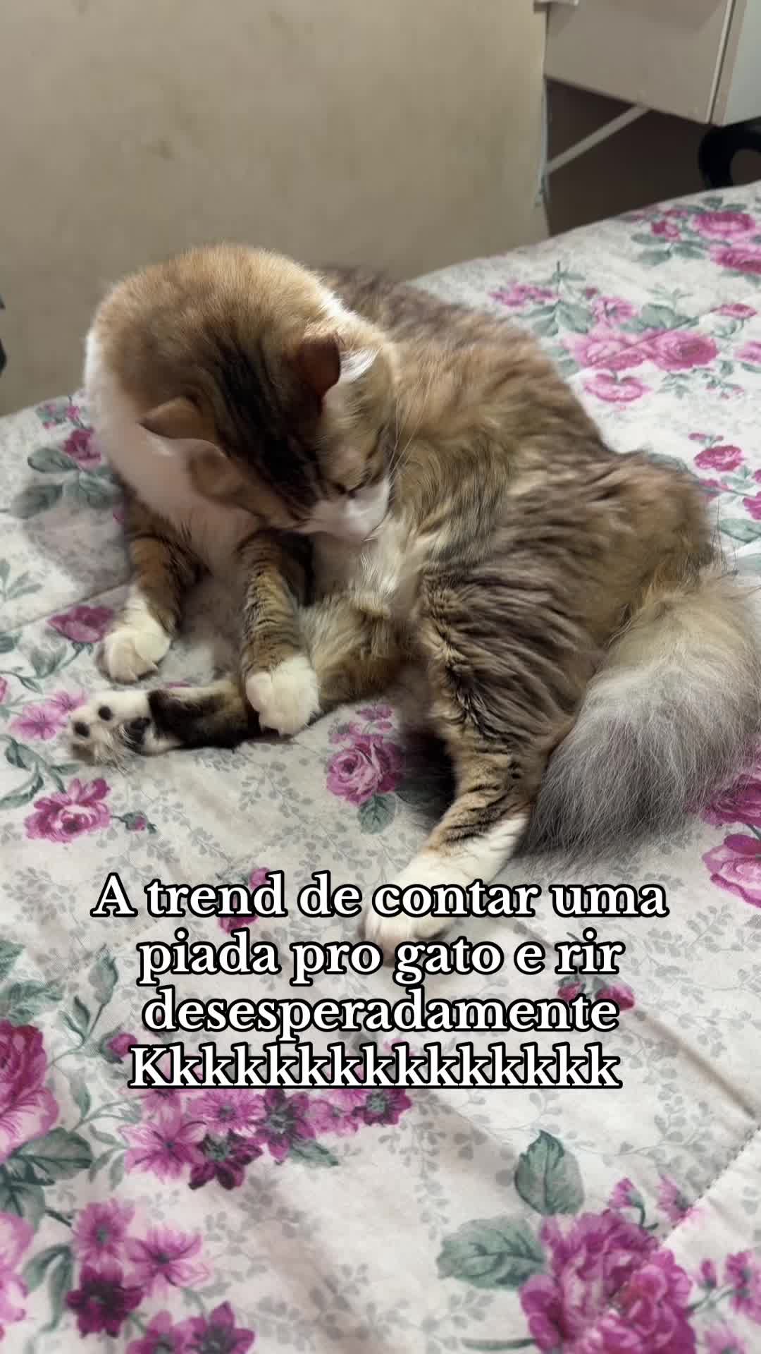 @Marcela Mesquita