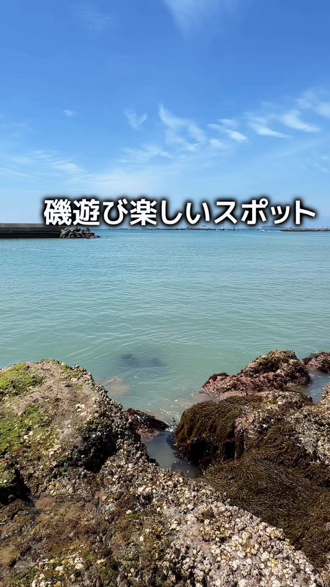 @みなこ 神奈川発 子連れお出かけ