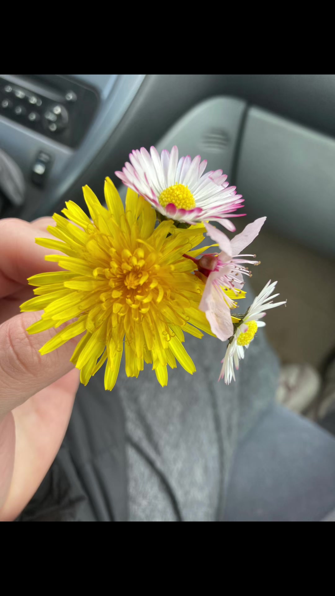 @عائشة✨