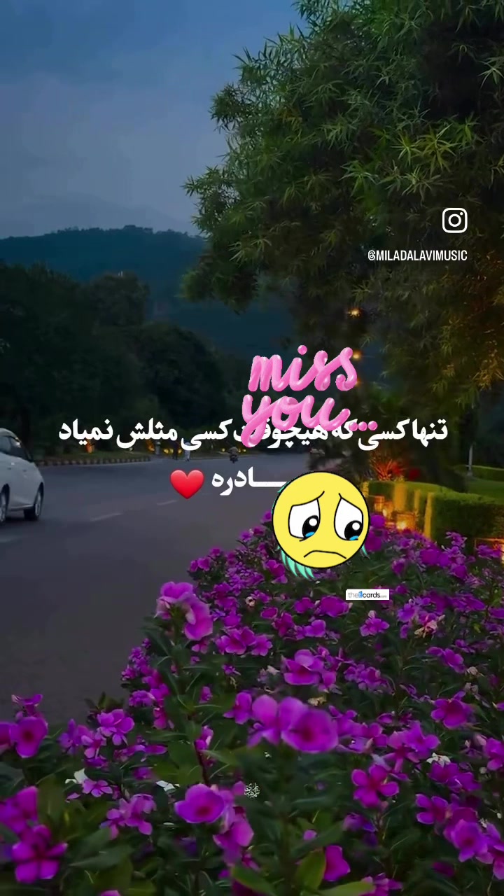 @gulchekhra234