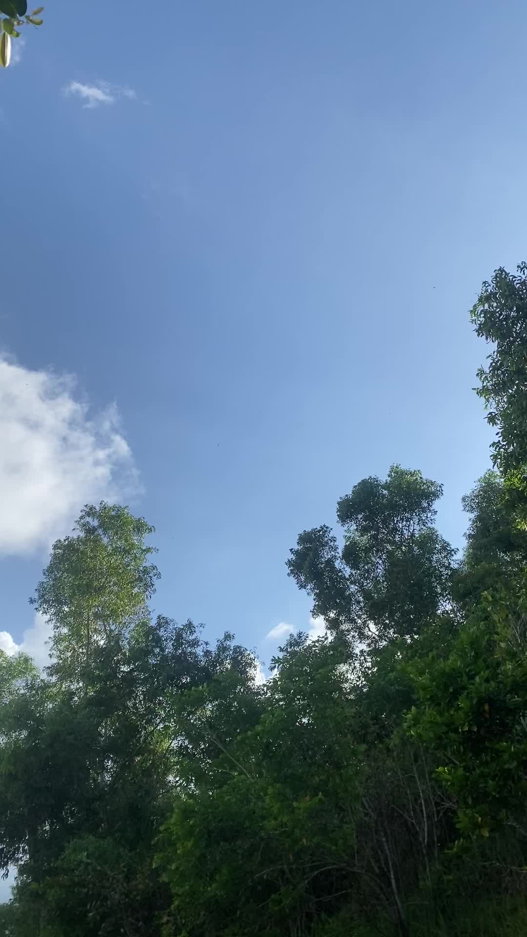 @Yam🍃