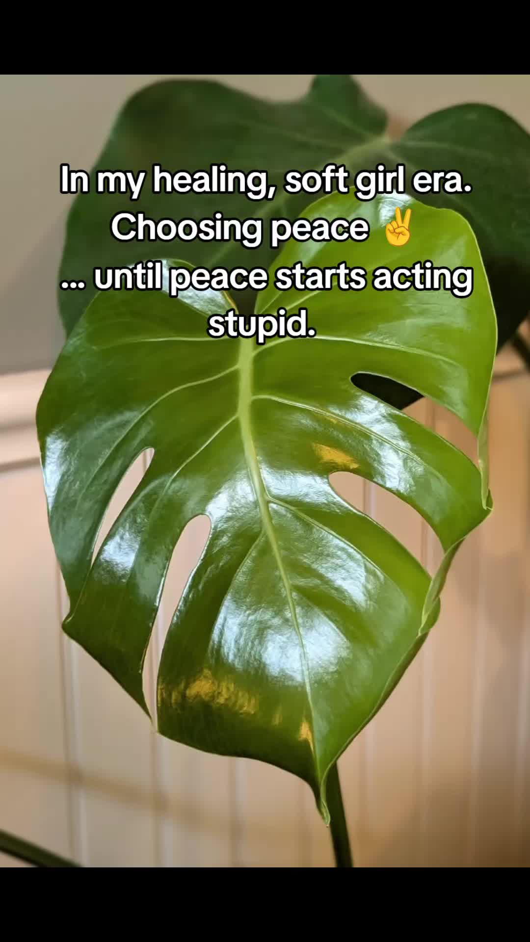 @Just Dee
