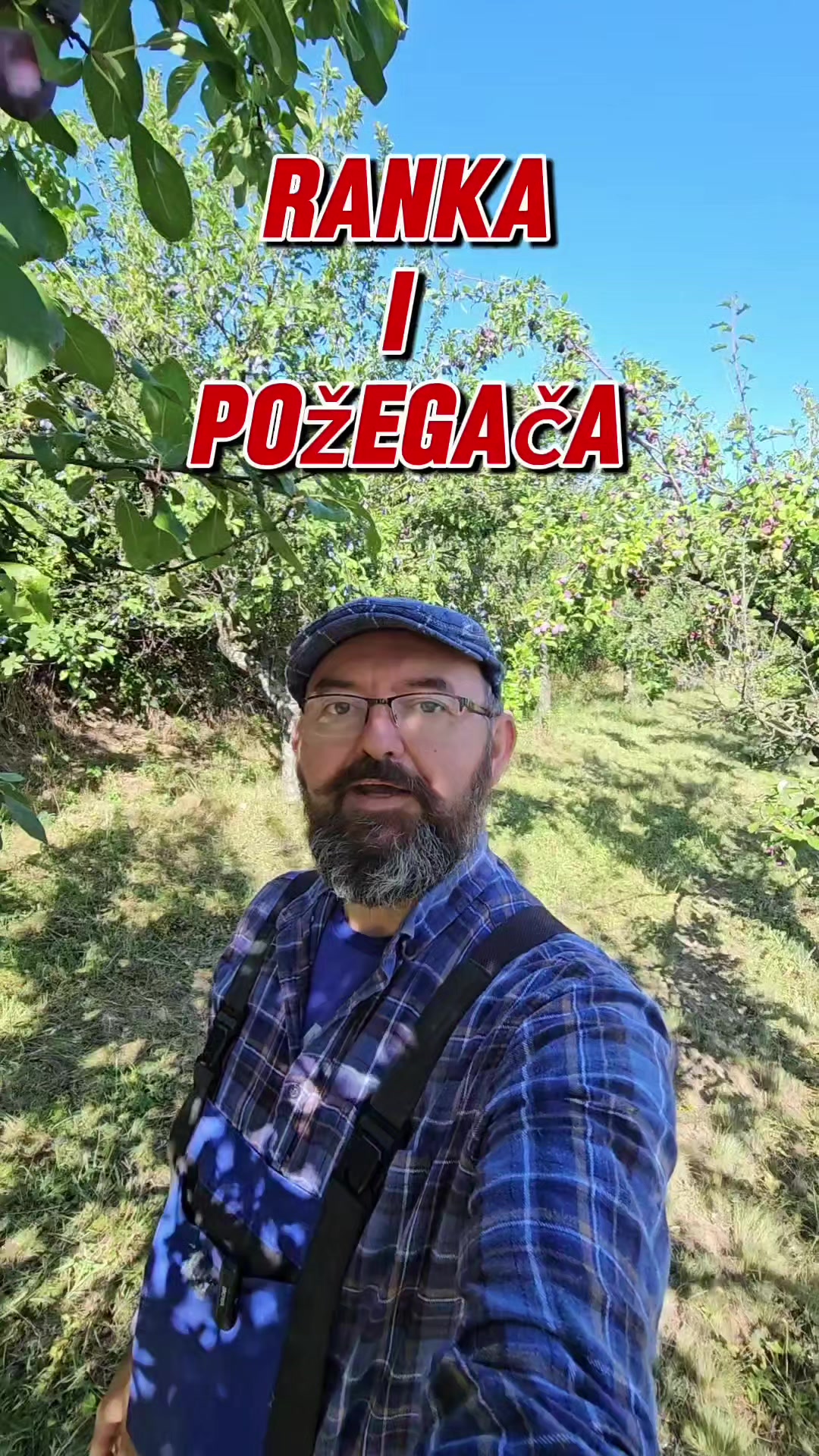 @čiča Zlaja