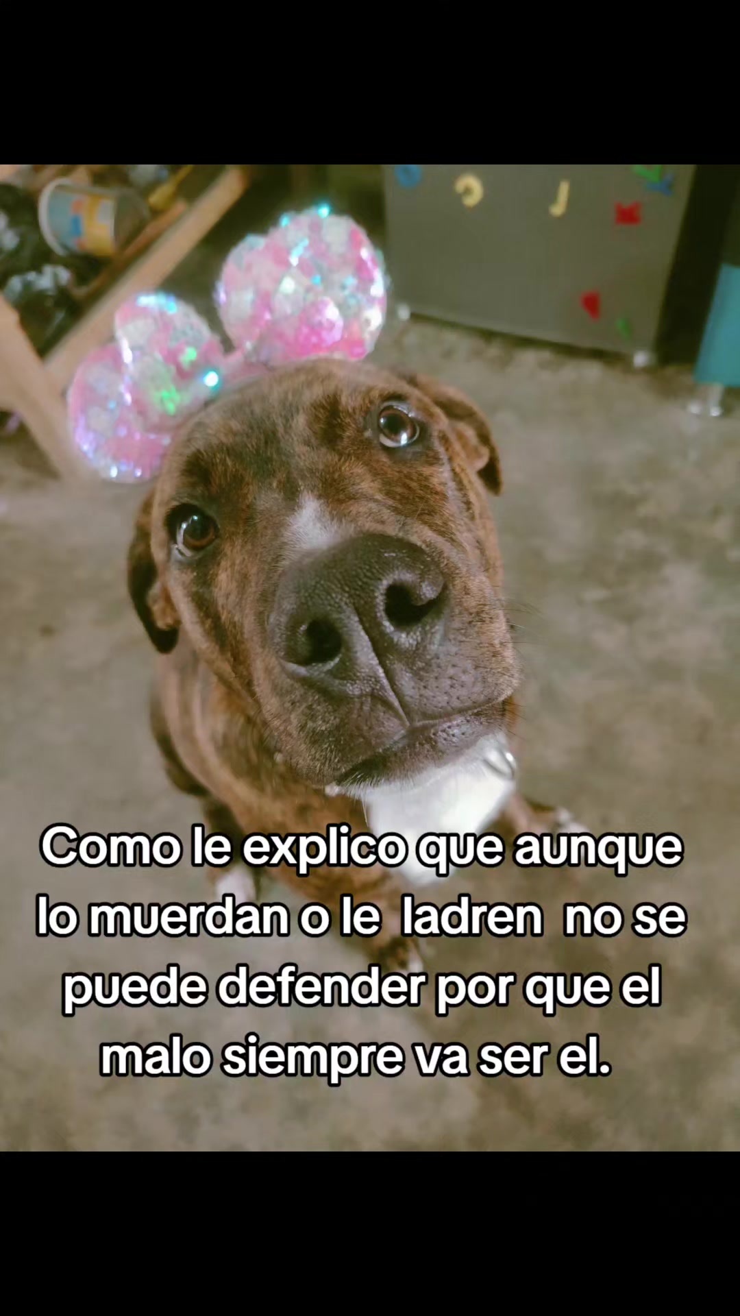 @yeli