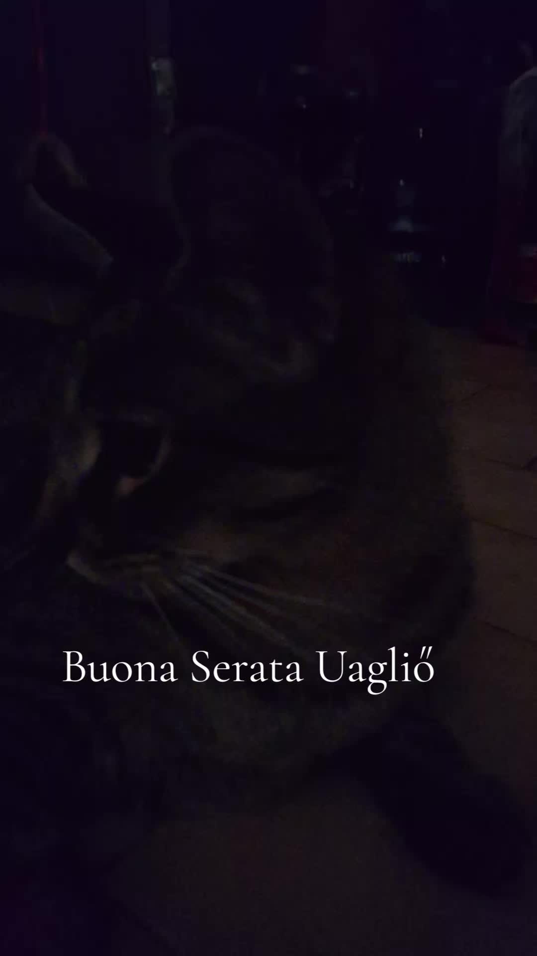 @La giusta distanza tra I ricci