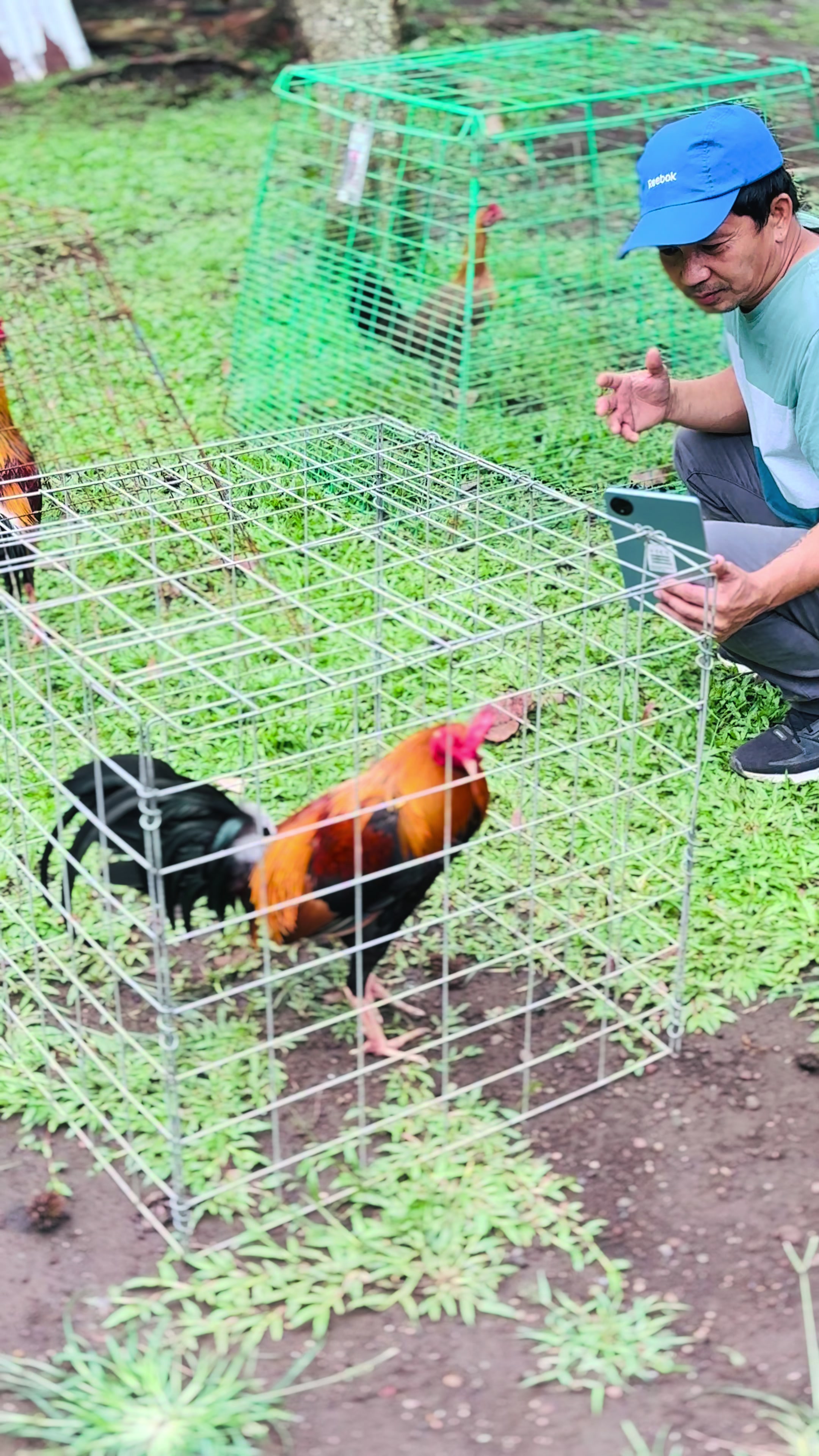 @Superline Gamefarm