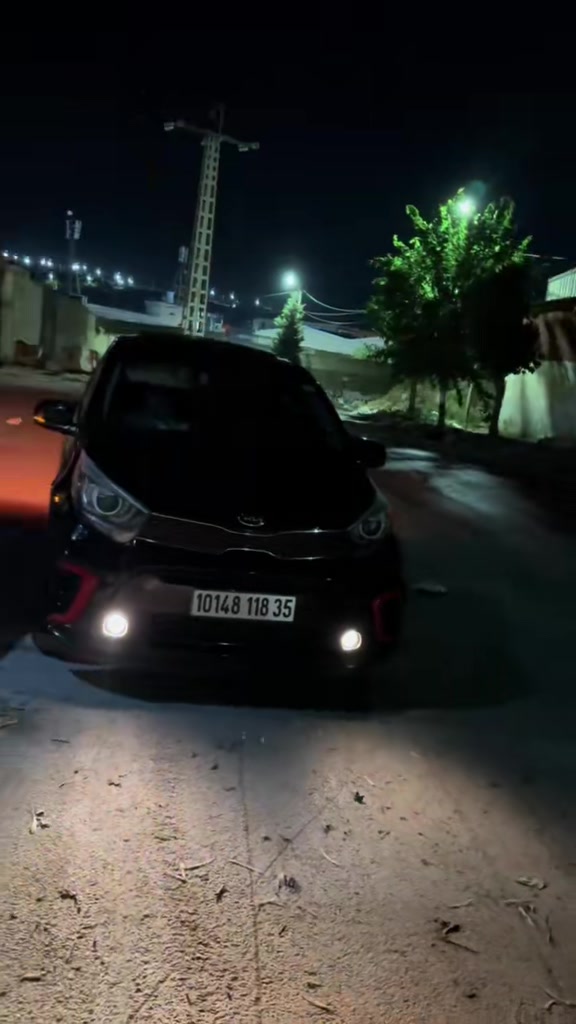 @anis picanto