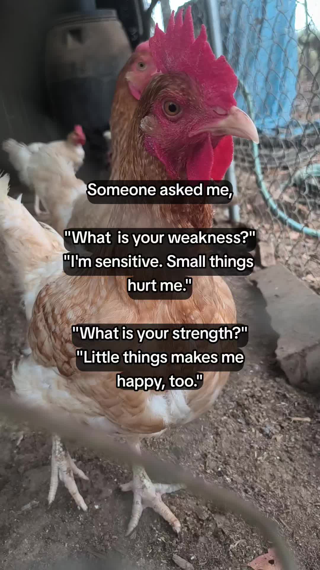 @TMAC❌️ tammymcconnell76