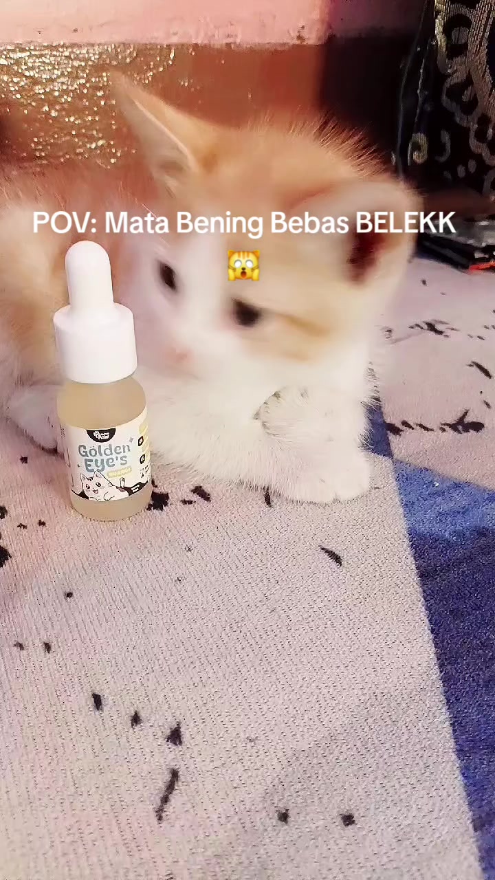 @Aini Nani