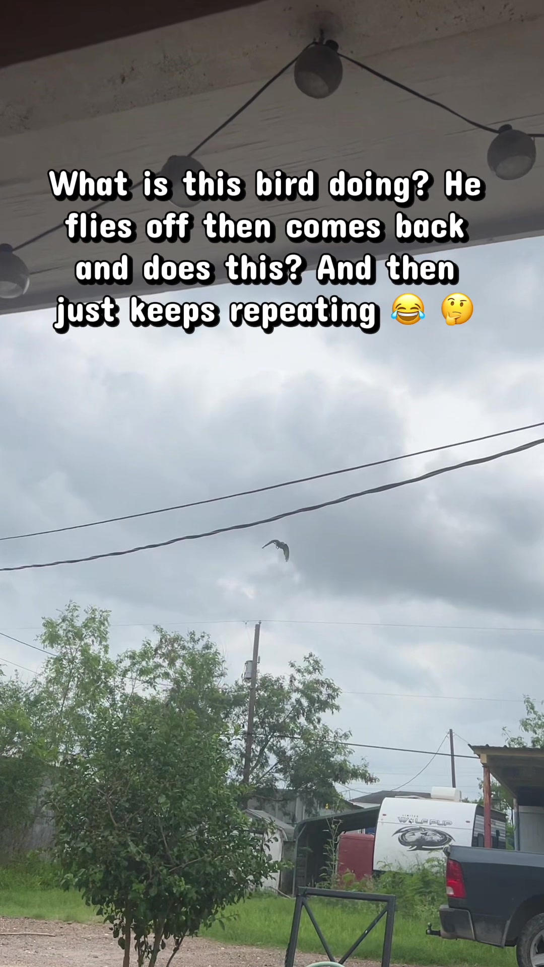 @Diana