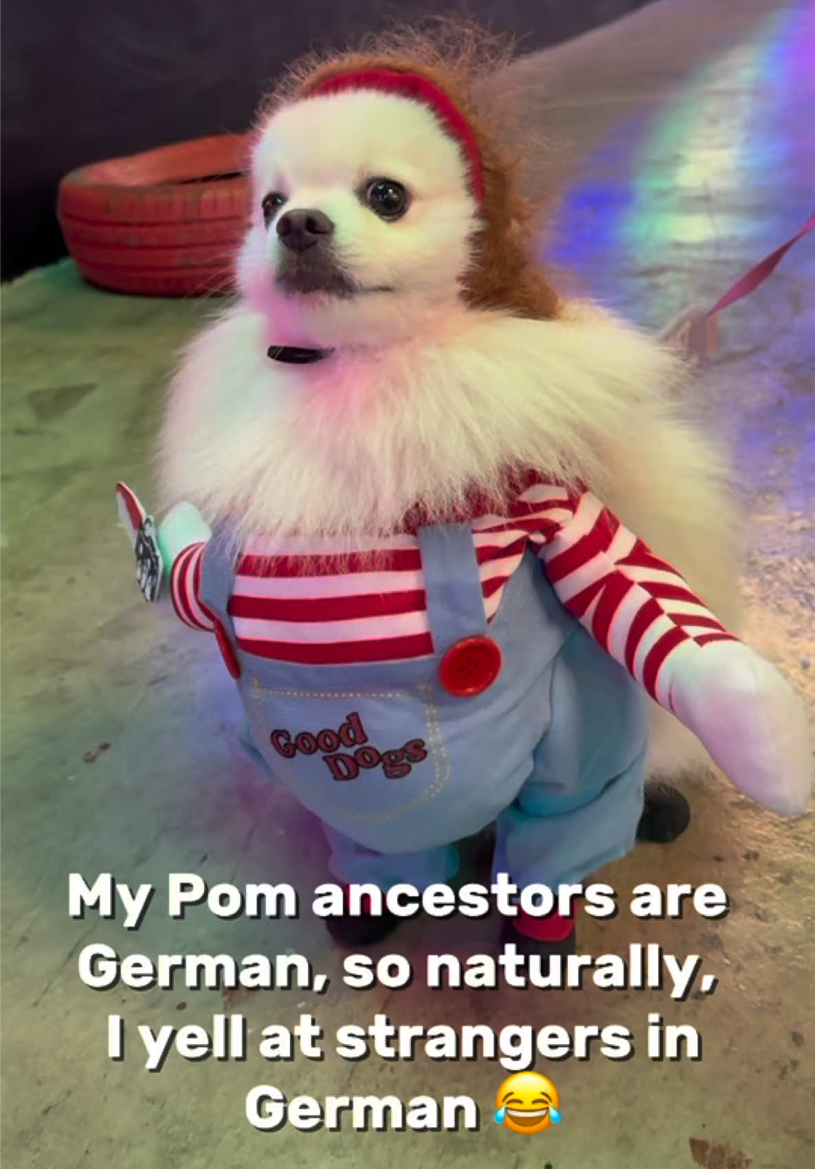 @G H O S T TheRunnerPom