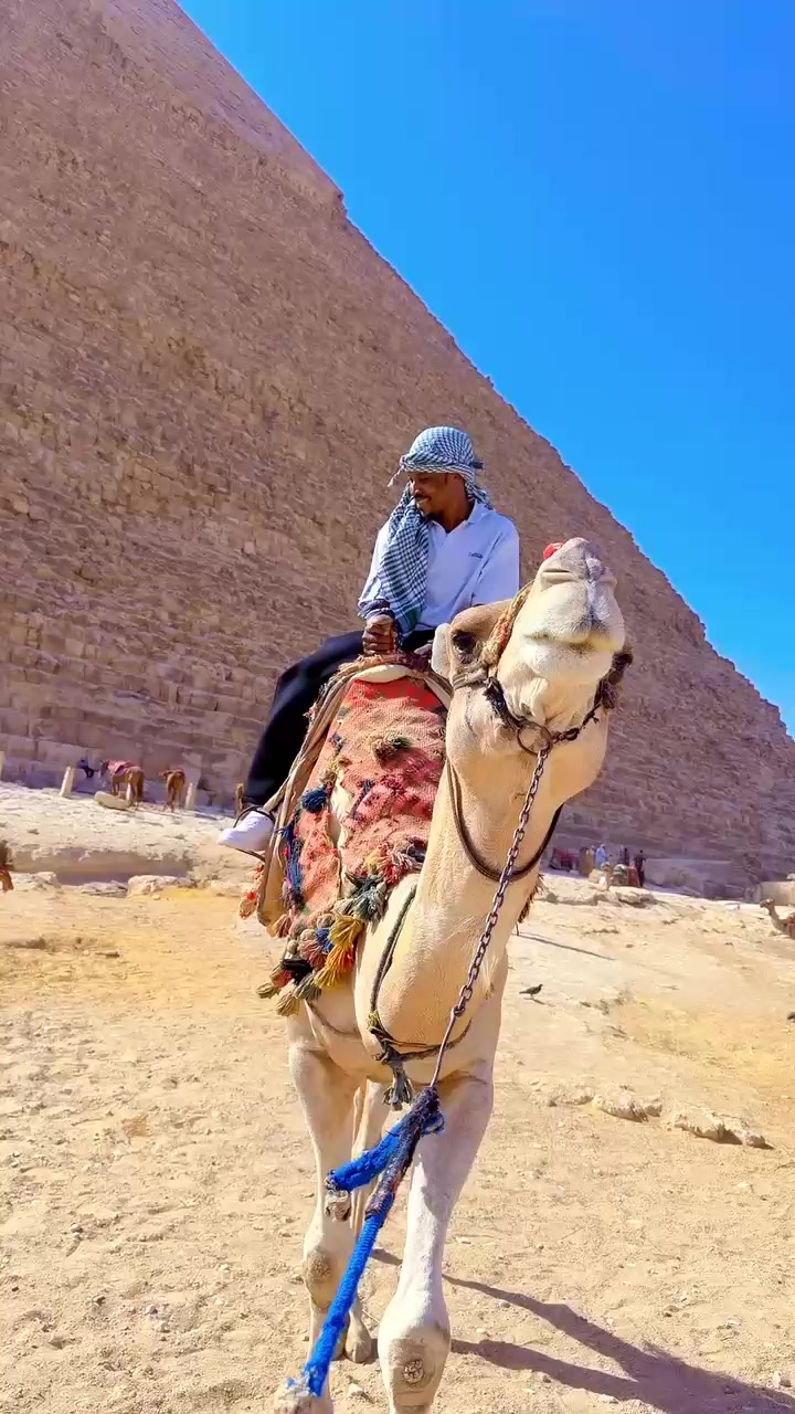 @juniormshareef