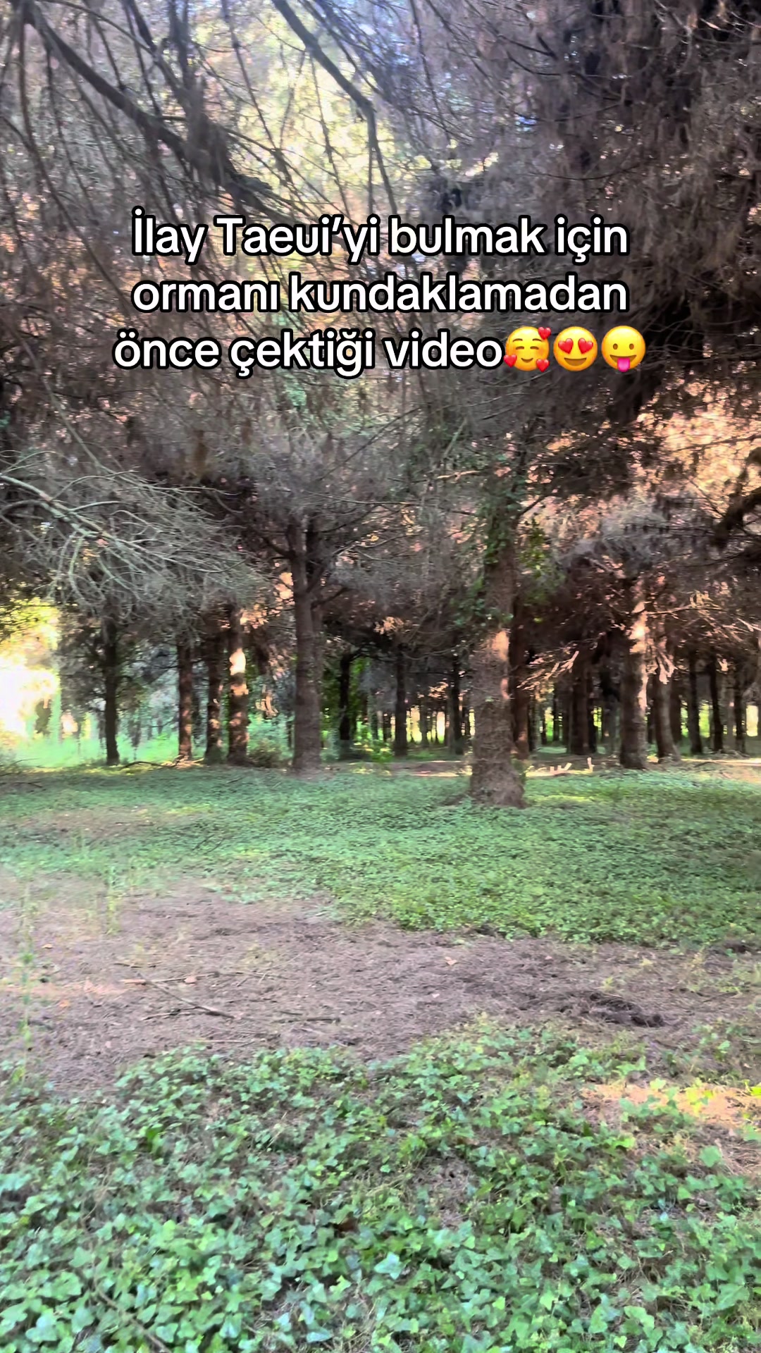 @𝒵𝒽𝑒𝓃𝓎𝒶