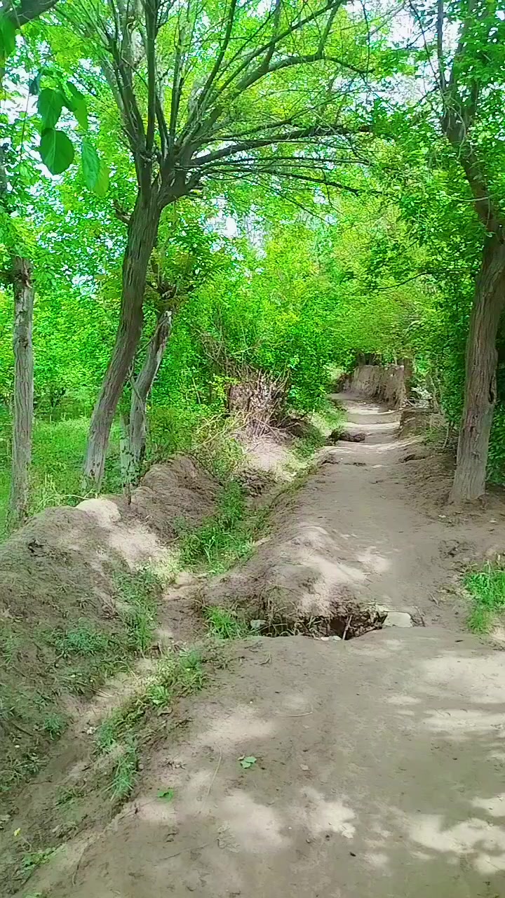 @Sorab khan