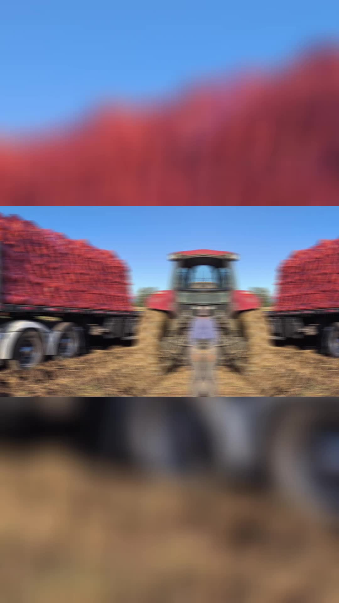 @RodolfoZentenoGuarach113🇨🇱?