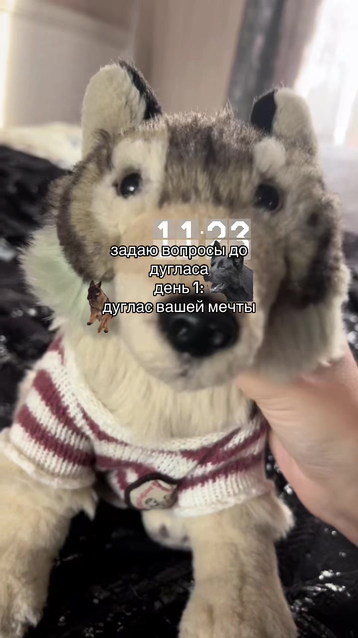 @♯🐾.ᴍᴇʏsʜɪ✧˚
