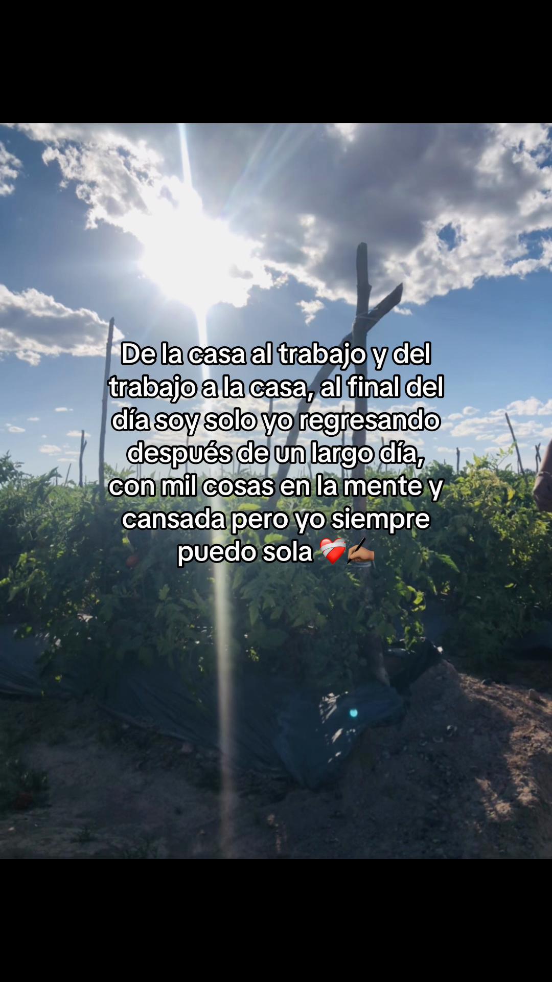 @maryrdz.15