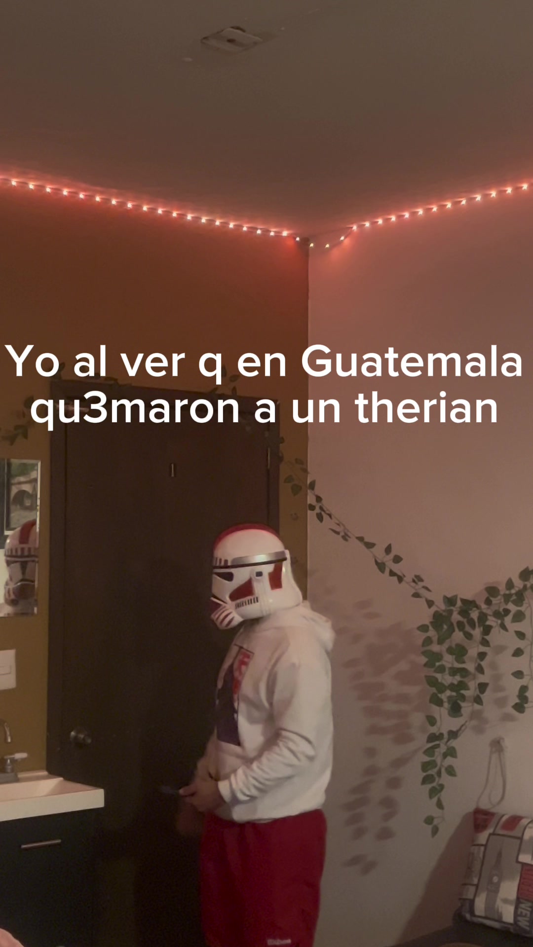 @Mr.Trooper