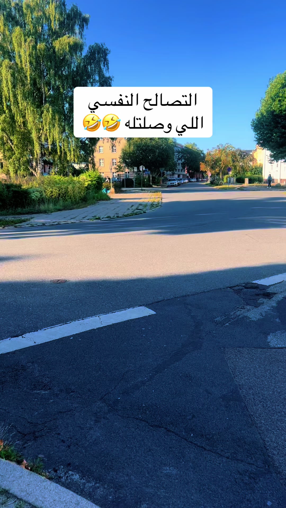 @tuteh🌷