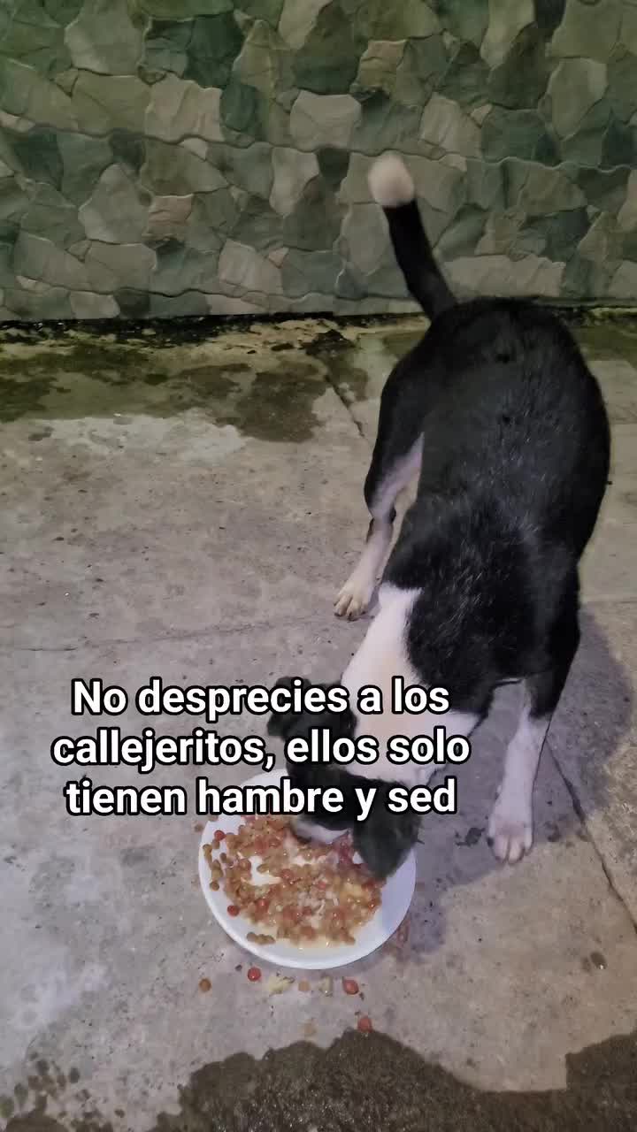 @𝕃𝕚𝕤𝕤 ℝ𝕖yes🇸🇻