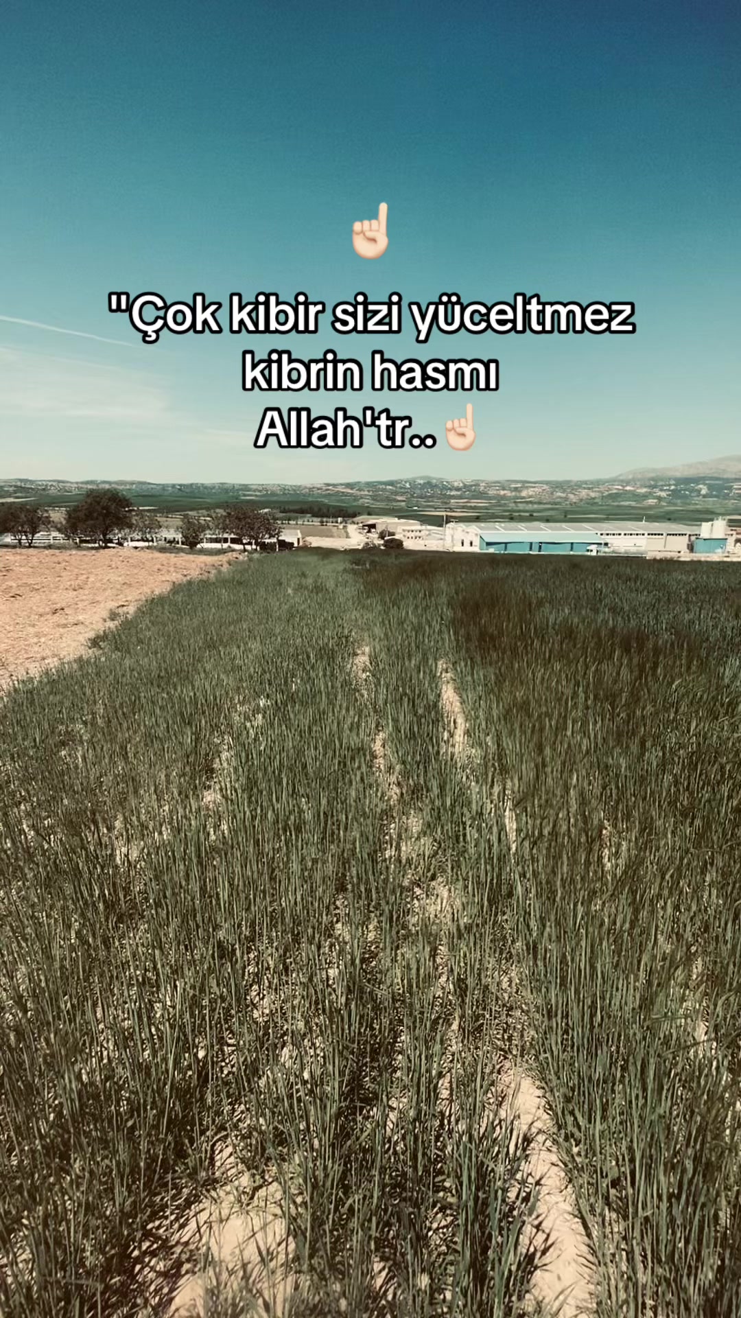 @Seziz adam😞