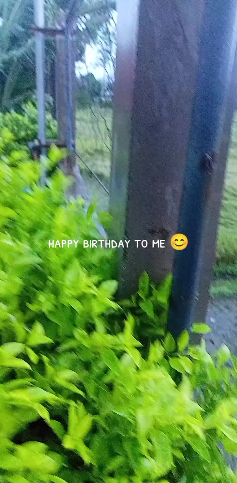 @Braxy